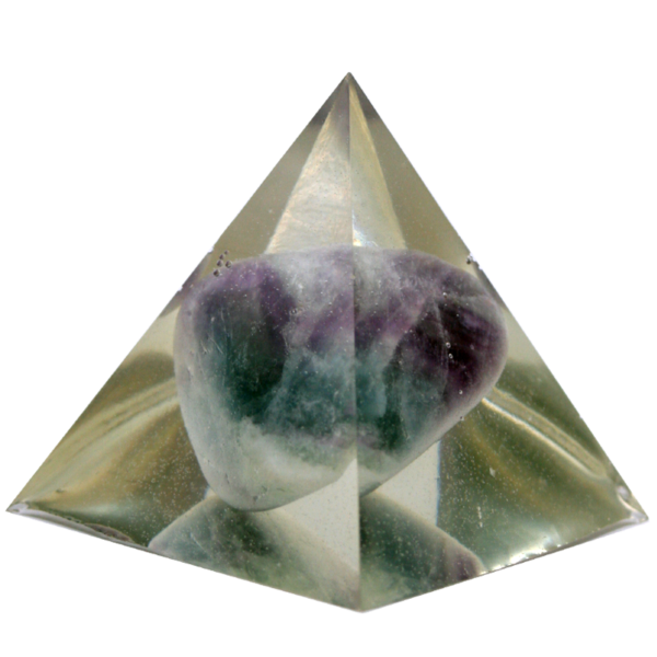 P 12 - Image 2